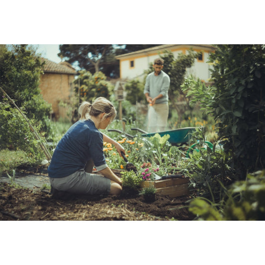 Fiskars Planteringsspade Xact