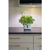 GreenLine Odlingsset Urban Growing P4