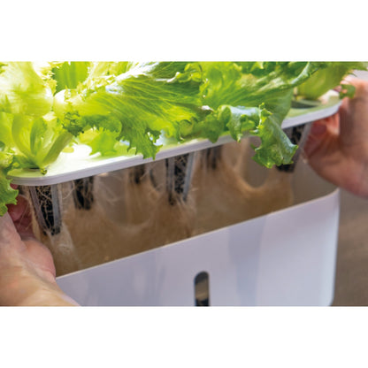 GreenLine Odlingsset Urban Growing P8
