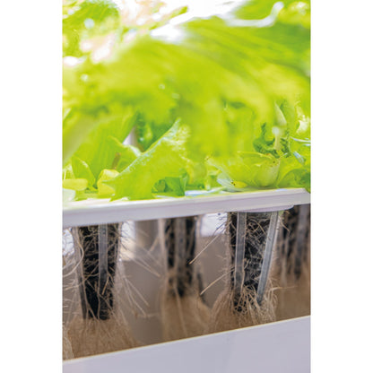 GreenLine Odlingsset Urban Growing P8
